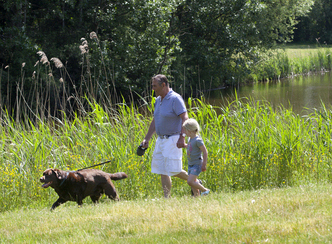Wandelen met hond Purmerbos