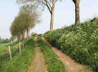 Wandelen Beemster Uilenhoekroute