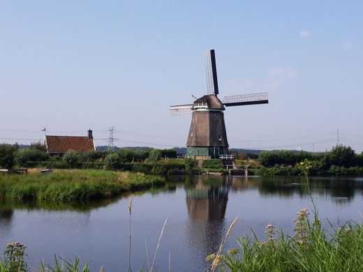 2019 Natuurwegdag Twiskemolen