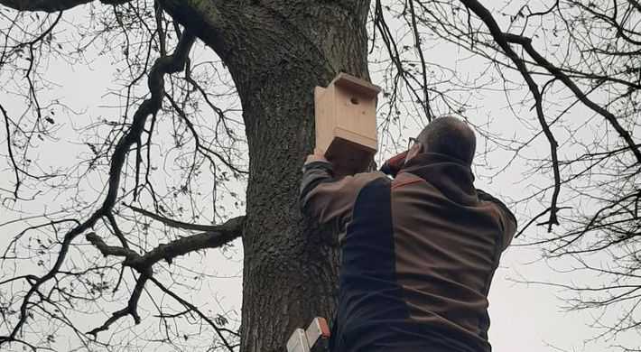 2020 Twiske vogelhuisje