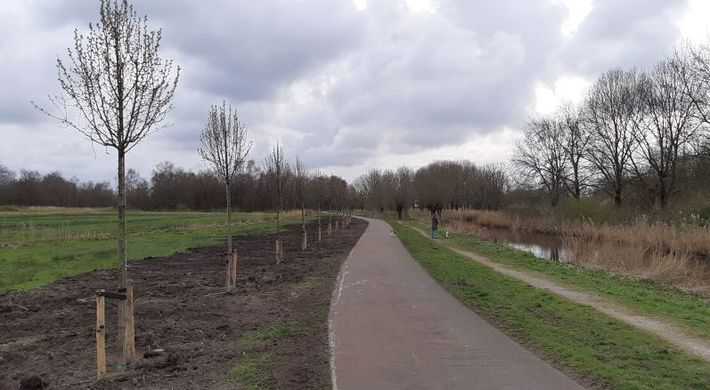 2020 Twiske perenbomen planten