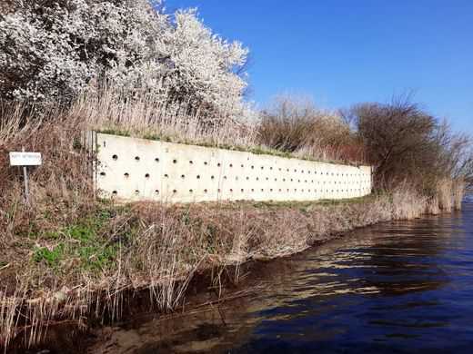 2021 oeverzwaluwwand Twiske