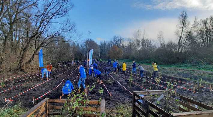 Vrijwilligers Trees for All planten bomen en struiken in Het Twiske